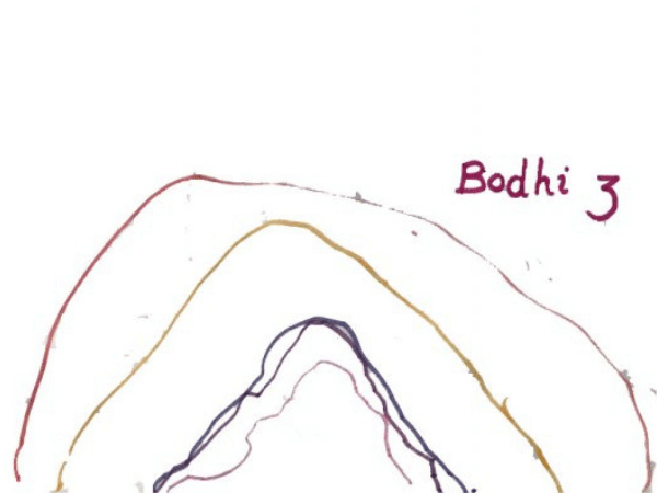 Bohdi, Age 3